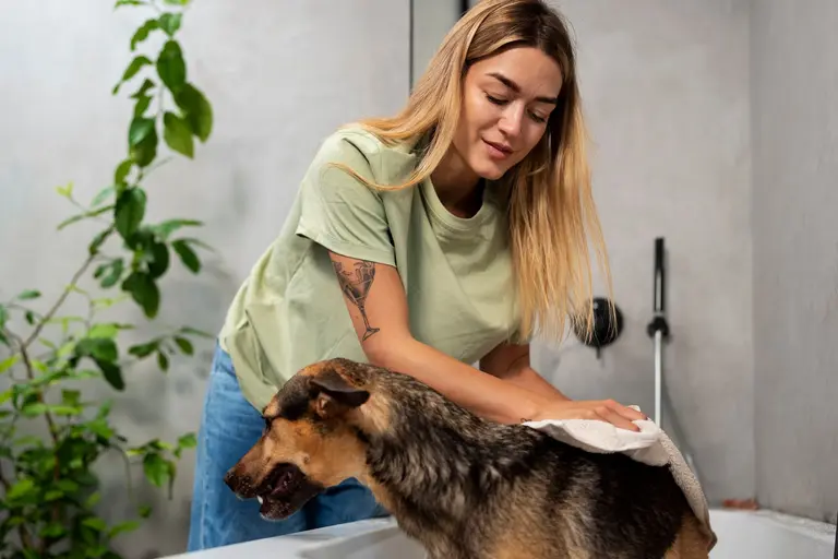 A groomer works shampoo through a happy dog’s coat in the tub